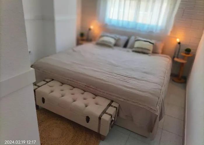 Mariposa Deneptuno * ラ・マンガ・デル・マール・メノール