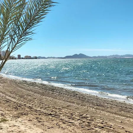 Mariposa Deneptuno *