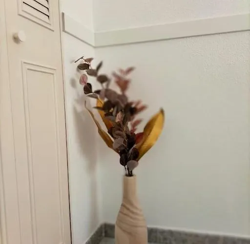 Appartement Mariposa Deneptuno