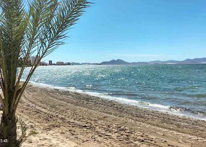 Mariposa Deneptuno *